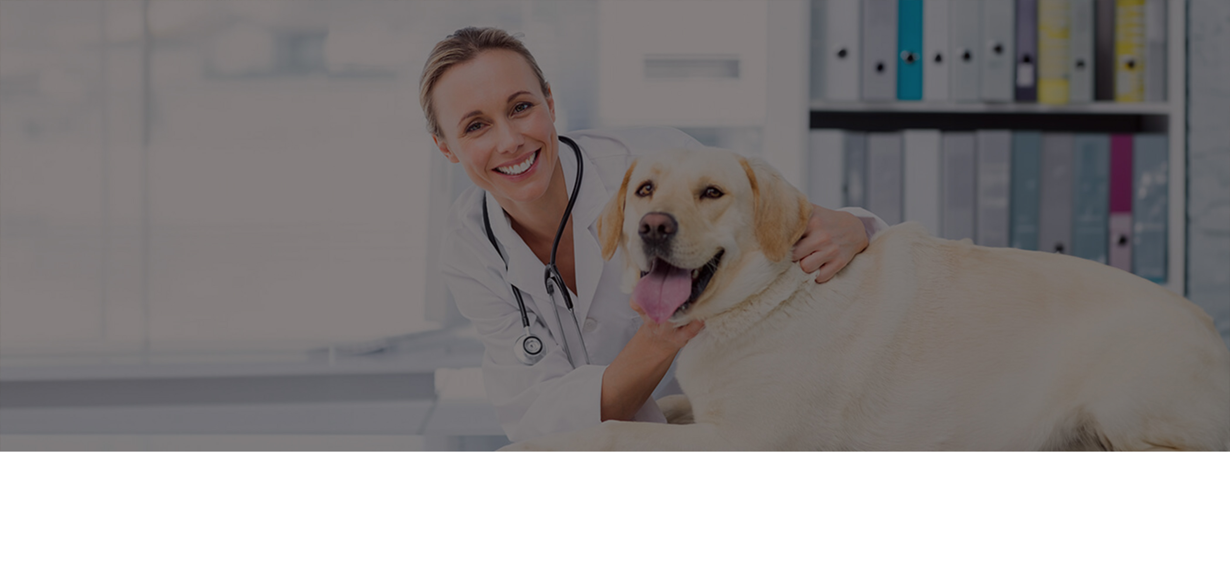 Happy veterinarian with a dog