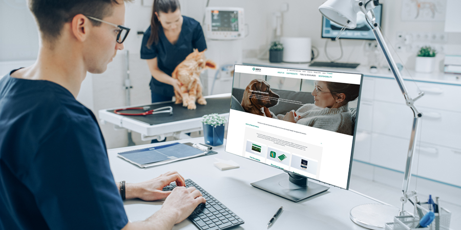 Veterinarian browsing on a computer