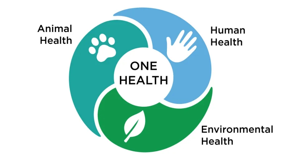 Illustration of a paw a hand and a leaf with the one helth logo