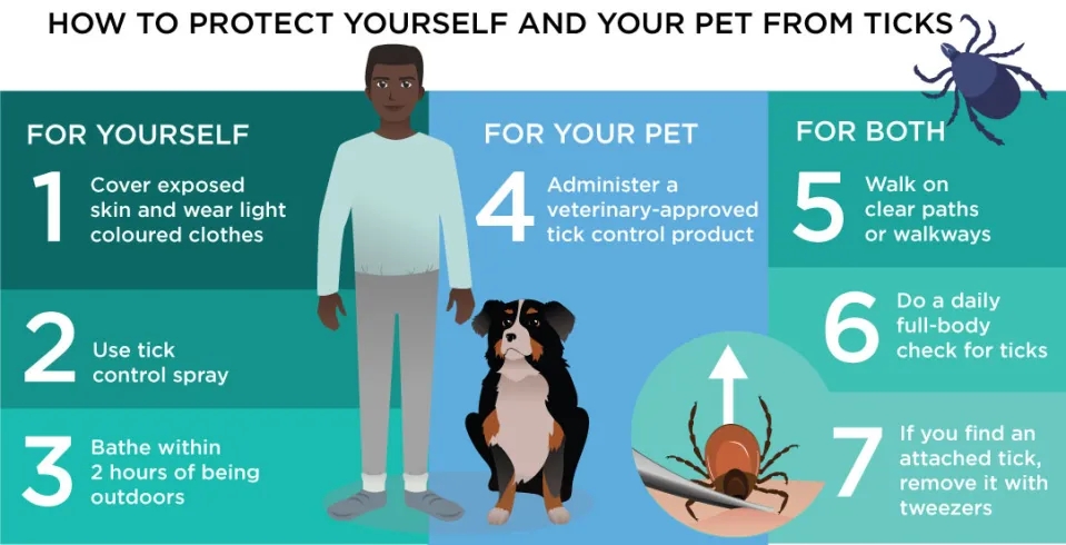 An illustration representing a man with a dog and a tick, with 7 steps to help protect people and animals against ticks