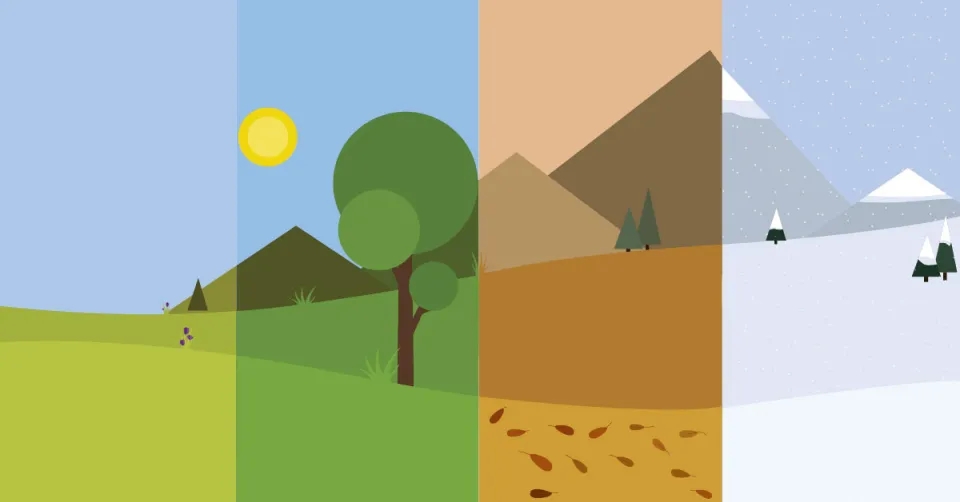 Seasons illustration