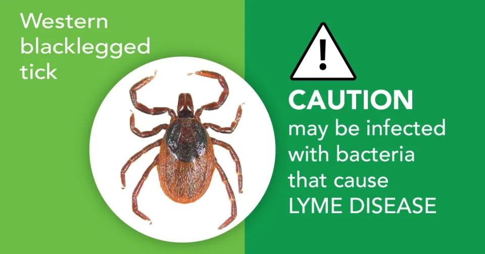 Western tick image with a warning message