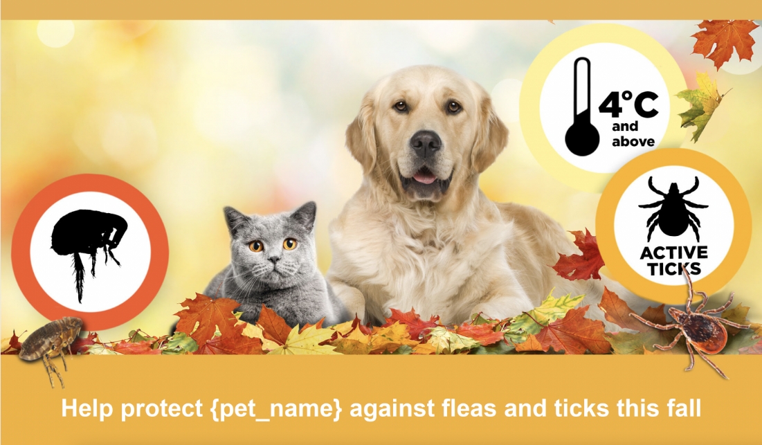 A dog and a cat laying together with tick informations and a text "Help protect {pet_name} against fleas and ticks this fall"