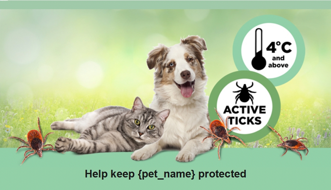 A dog and a cat laying together with tick informations and a text "Help keep {pet_name} protected"