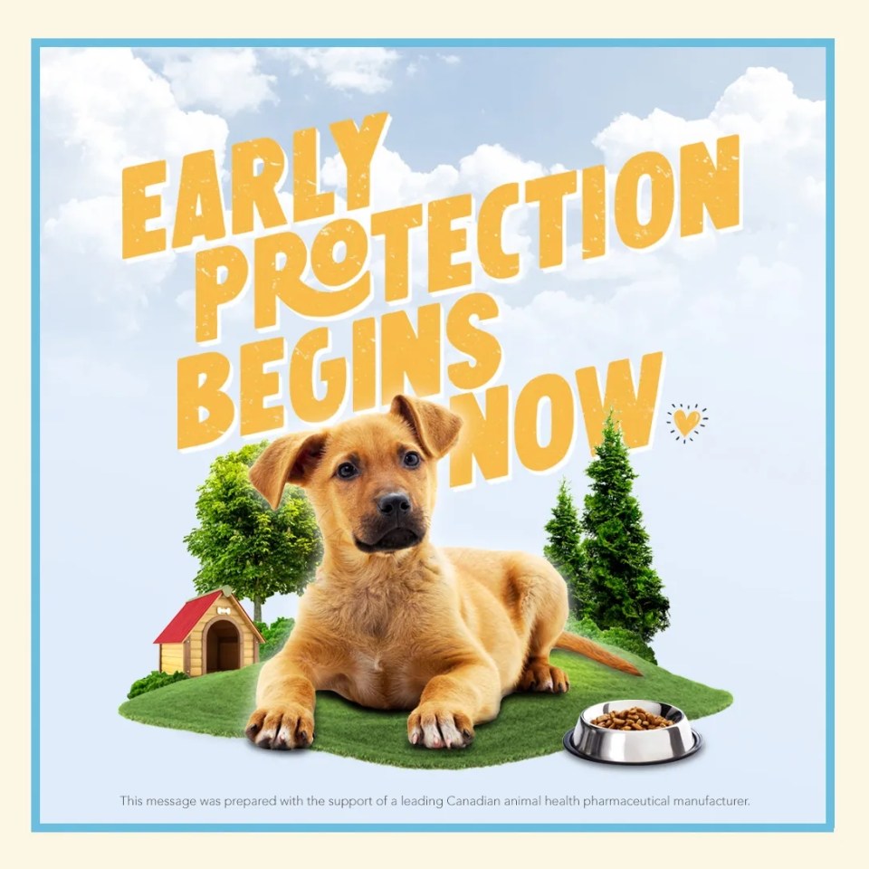 A puppy laying in grass with a text "Early protection begins now"