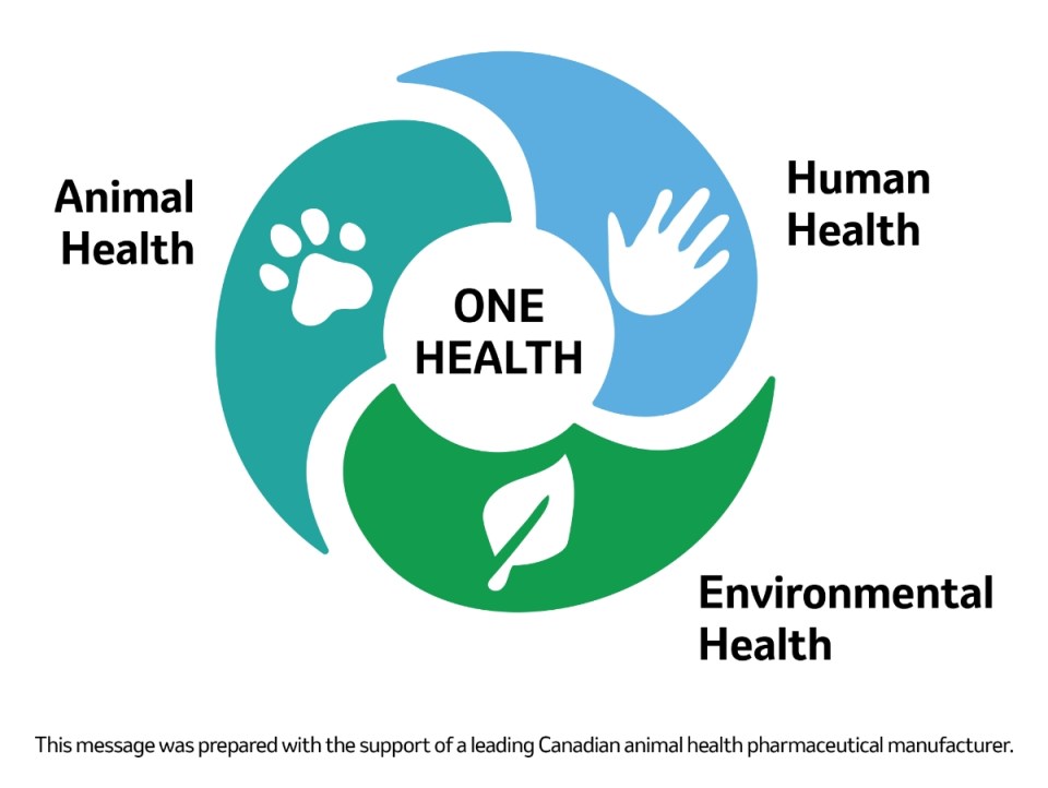 Illustration of a paw a hand and a leaf with the one helth logo