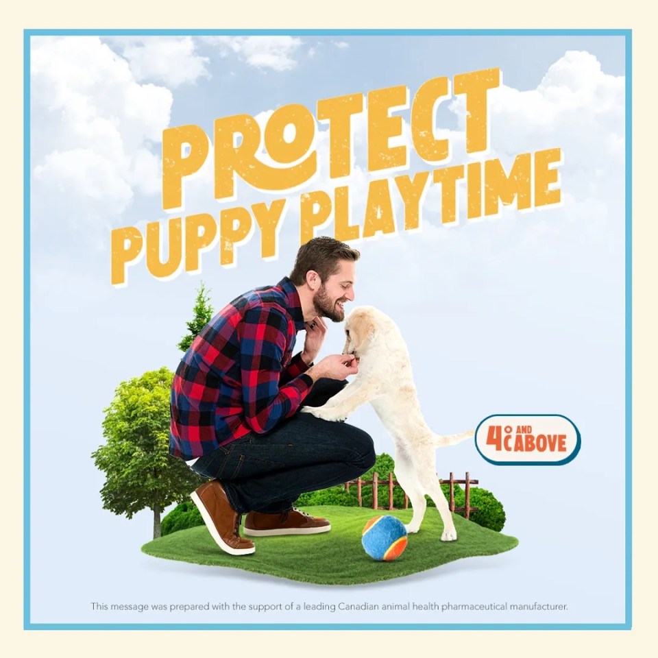 A man playing with a puppy with a text "Protect Puppy Playtime"