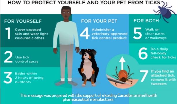 An infographie representing a man with a dog and a tick, with 7 steps to help protect people and animals against ticks