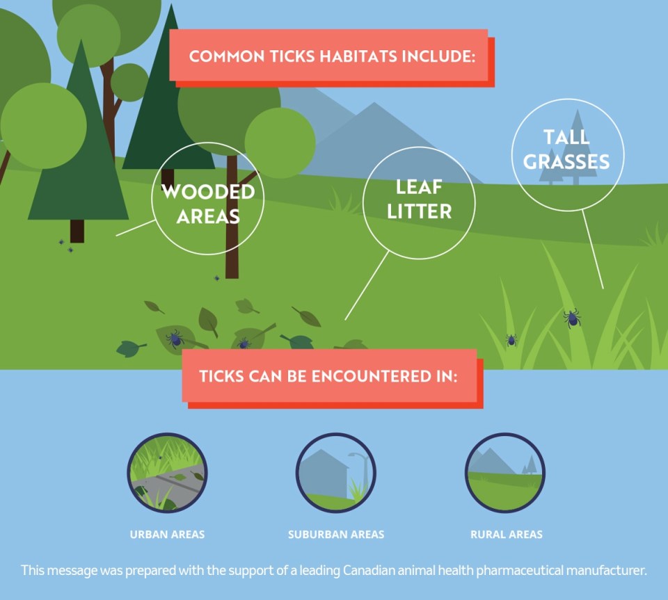 Illustration representing ticks location and informations