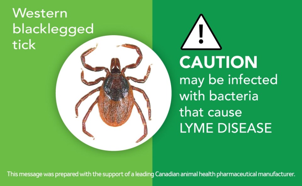 Western tick image with a warning message