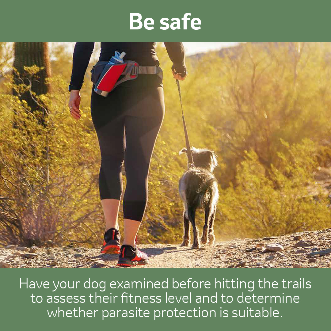 A woman hiking with her dog, the text says "Be Safe. Have your dog examined before hitting the trailsto assess their fitness level and to determinewhether parasite protection is suitable."