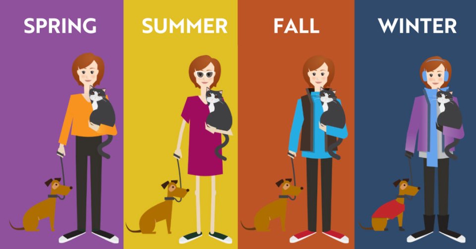 Illustration of a women with her dog during all seasons