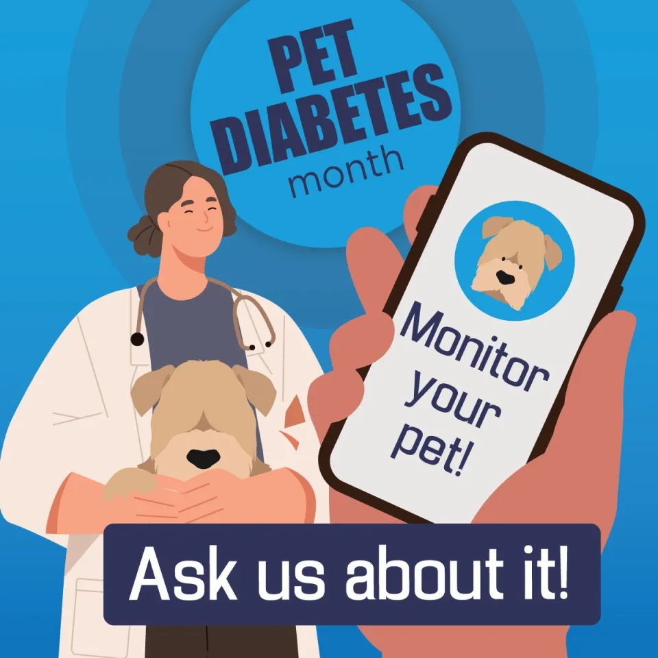 Illustration of a veterinarian holding a dog, and a hand holding a phone that say "Monitor your pet!"