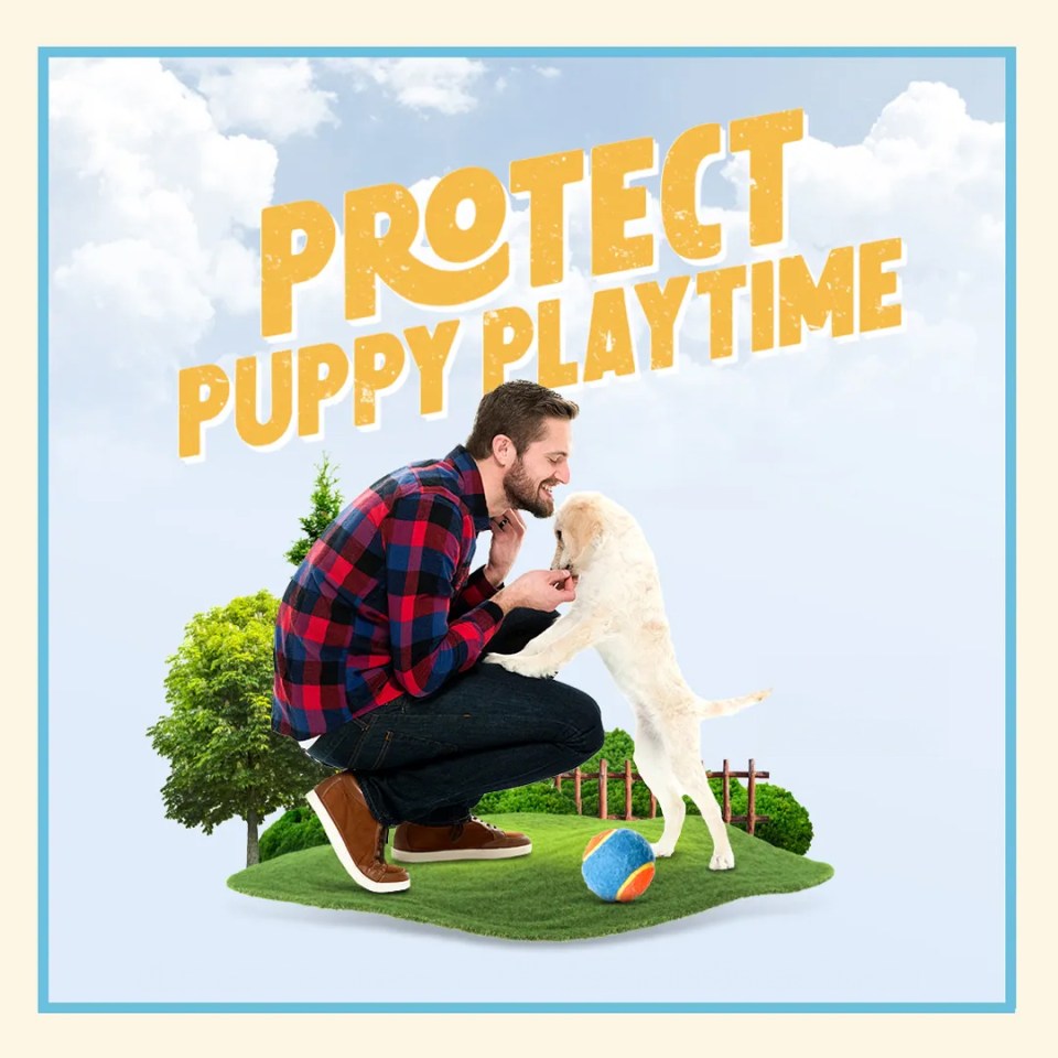 A man playing with a puppy with a text "Protect Puppy Playtime"