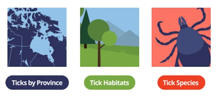 3 section representing tick by province, tick habitats and tick species