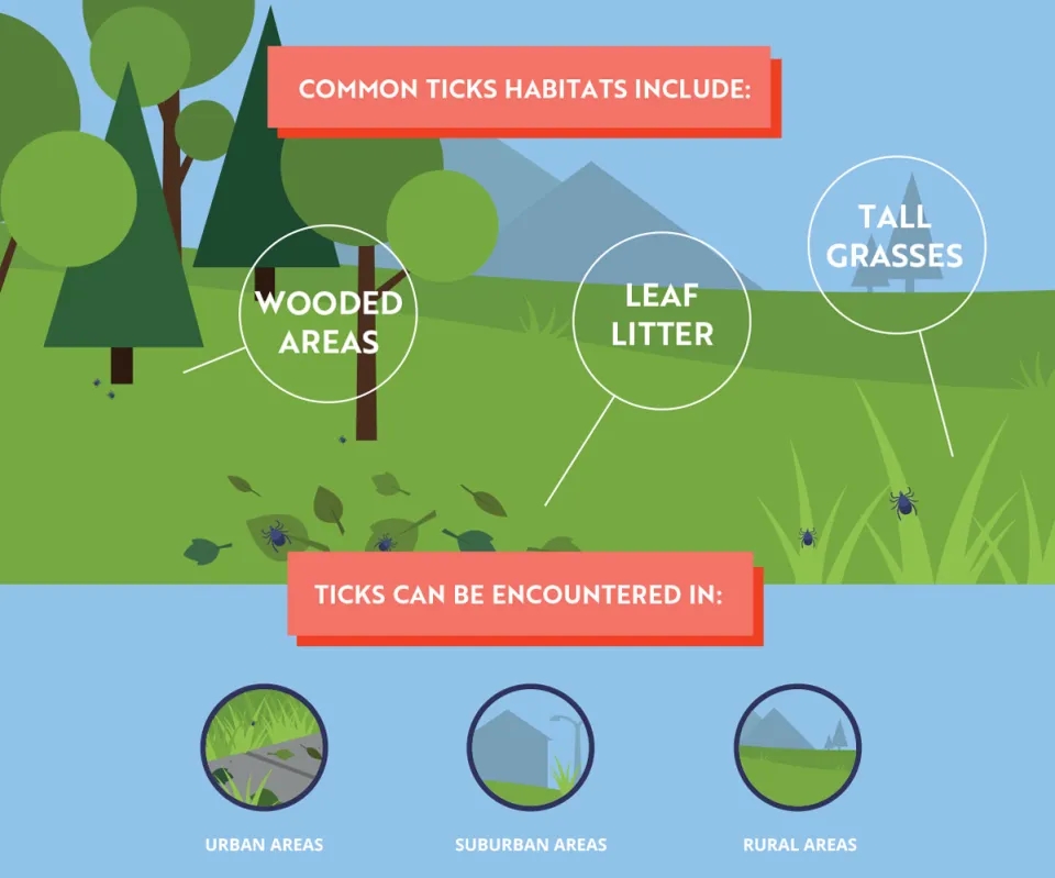 Illustration showing tick habitats 