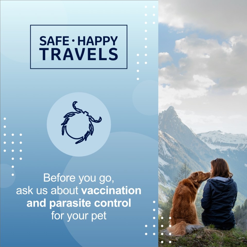 Women and her dog enjoying the mountain view with parasite control information "Before you go ask us about vaccination and parasite control for your pet"