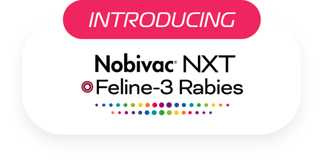 Introducing Nobivac NXT Feline-3 Rabies